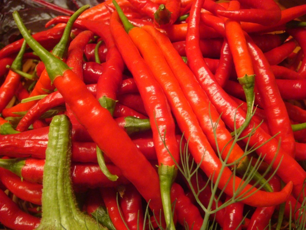 Il peperoncino: tra colore, sapore e un po' di mistero ...