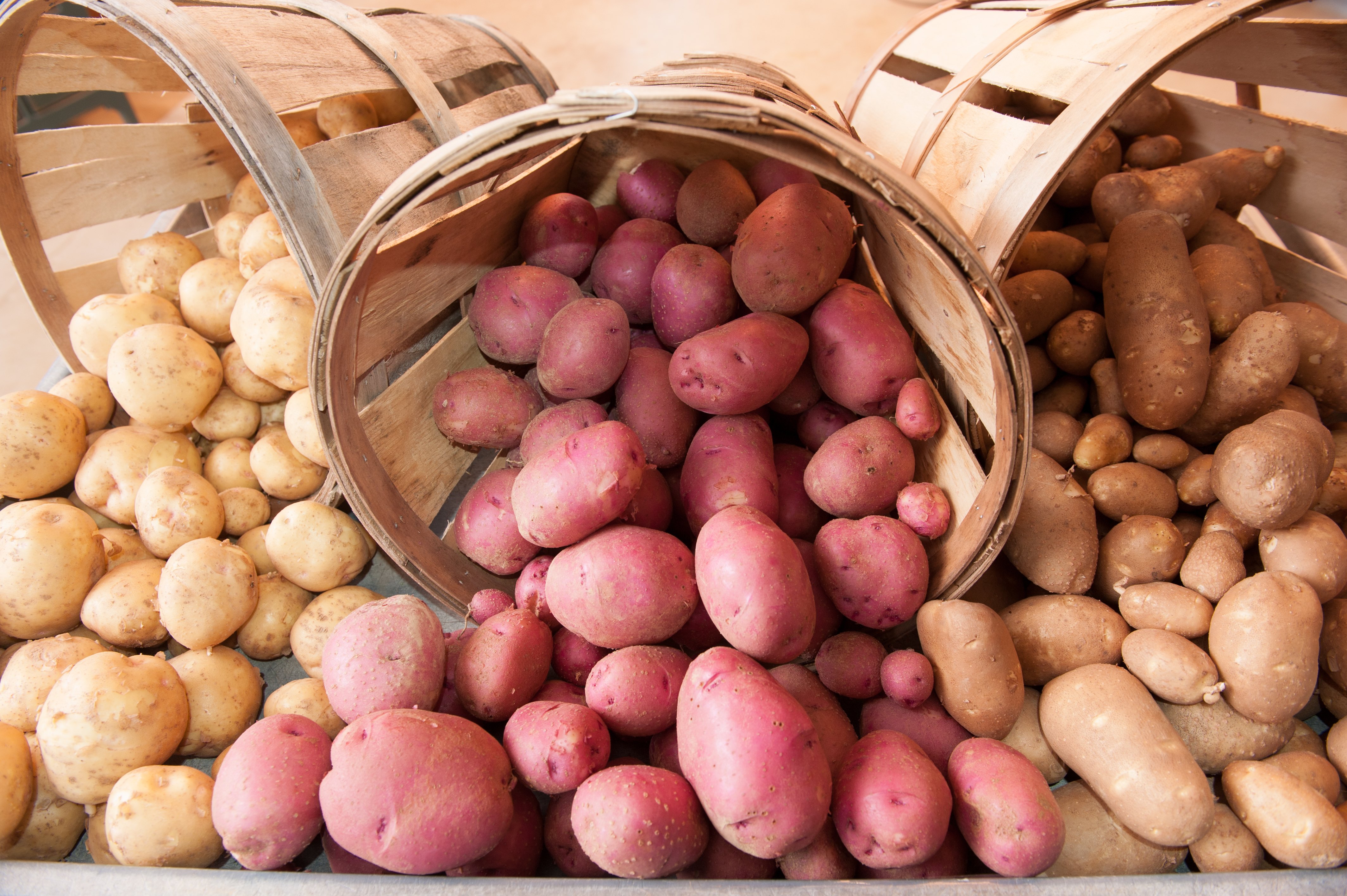 Tuberi e patate: il cibo più amato dai norvegesi | Agrodolce