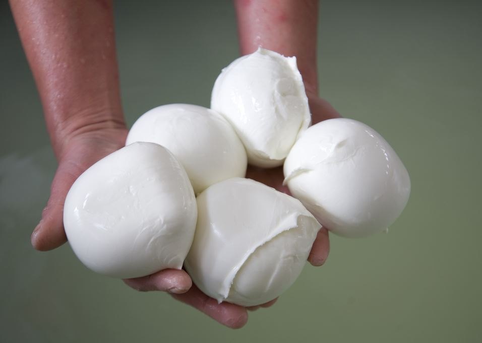 Come Capire Se Una Mozzarella Di Bufala E Buona Agrodolce