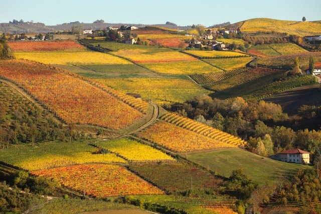 Langhe