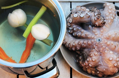 La preparazione del brodo ci cottura del polpo