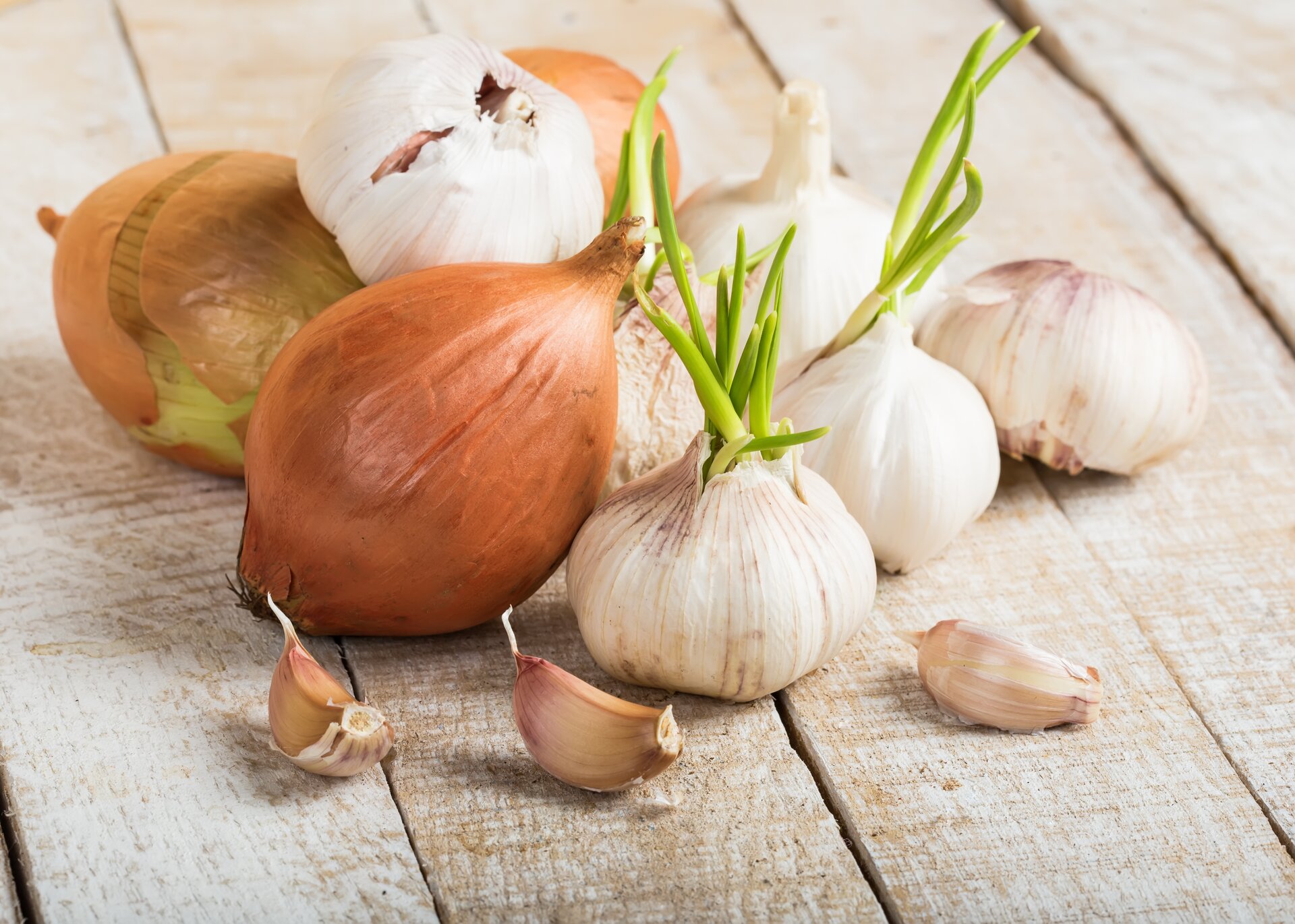 Aglio E Cipolla In Cucina Tutti Gli Utilizzi Guida Completa Agrodolce