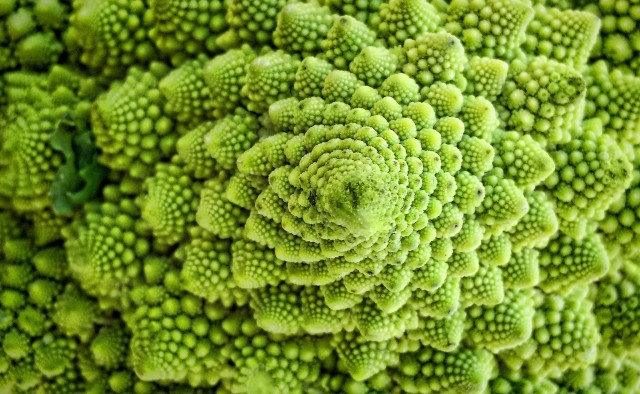 broccoli romaneschi flickr