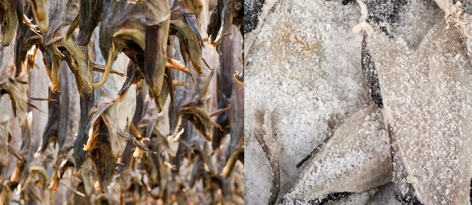 Stoccafisso e baccalà: saperli riconoscere | Agrodolce