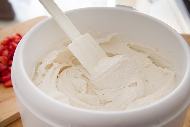 gelato allo yogurt (3)