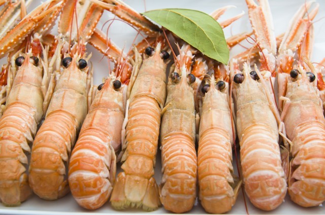 scampi