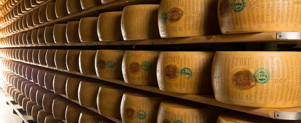 Differenze tra Grana Padano e Parmigiano Reggiano | Agrodolce