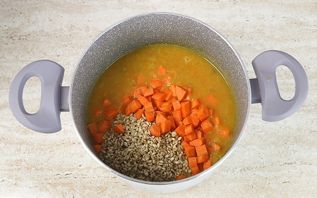 zuppa di carote (4)