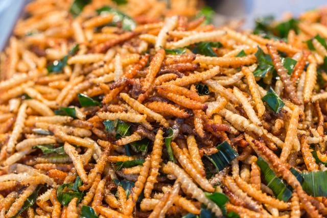 insetti fritti