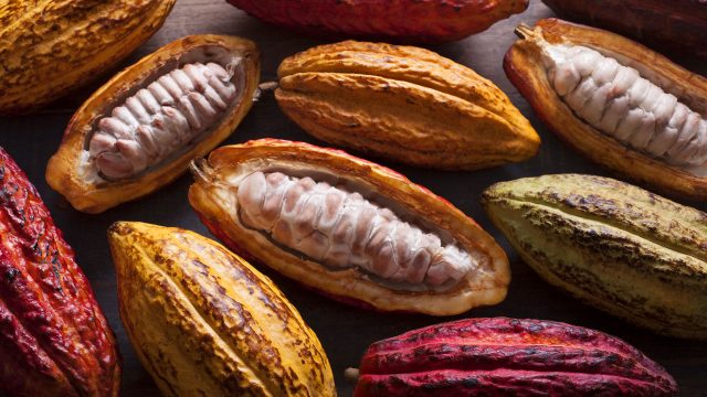 cacao