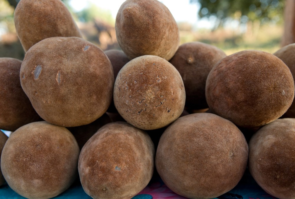 Il pane di scimmia non è il monkey bread che conosciamo ...