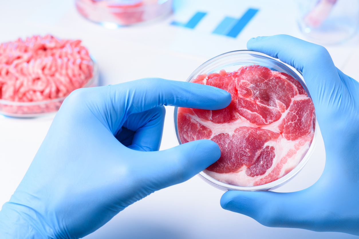 carne in laboratorio