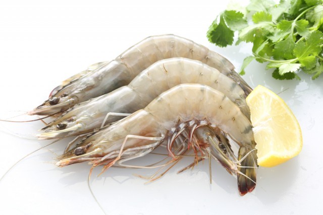 Crostacei: classificazione, elenco e nomi | Agrodolce